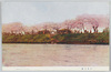向島の桜/Cherry Blossoms of Mukojima image