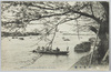 向島の桜/Cherry Blossoms of Mukojima image