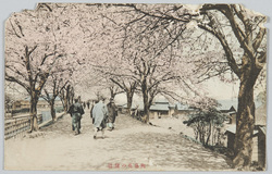 向島花の隧道 / Flower Tunnel in Mukojima image