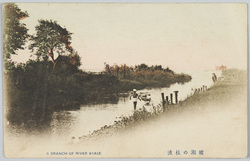 綾瀬の枝流 / A Branch of the Ayase River image