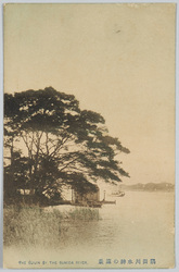 隅田川水神の遠景 / Distant View of the Suijinja Shrine by the Sumida River image