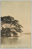 隅田川水神の遠景/Distant View of the Suijinja Shrine by the Sumida River image