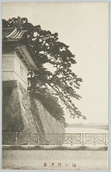 桜田門の景 / View of the Sakuradamon Gate image