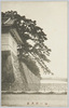 桜田門の景/View of the Sakuradamon Gate image