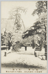 花と雪(芝公園)明治四十一年四月九日東都六十年来の大雪 / Flowers and Snow (Shiba Park): On April 9th, 1908, the Eastern Capital Had the Heaviest Snowfall in 60 Years image
