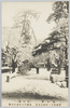 花と雪(芝公園)明治四十一年四月九日東都六十年来の大雪/Flowers and Snow (Shiba Park): On April 9th, 1908, the Eastern Capital Had the Heaviest Snowfall in 60 Years image