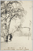 花と雪(上野公園)明治四十一年四月九日東都六十年来の大雪/Flowers and Snow (Ueno Park): On April 9th, 1908, the Eastern Capital Had the Heaviest Snowfall in 60 Years image