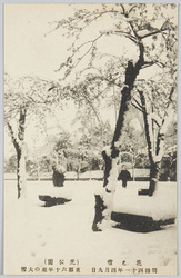 花と雪(芝公園)明治四十一年四月九日東都六十年来の大雪 / Flowers and Snow (Shiba Park): On April 9th, 1908, the Eastern Capital Had the Heaviest Snowfall in 60 Years image