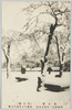 花と雪(芝公園)明治四十一年四月九日東都六十年来の大雪/Flowers and Snow (Shiba Park): On April 9th, 1908, the Eastern Capital Had the Heaviest Snowfall in 60 Years image