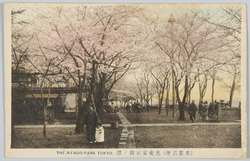 (東京名所)芝愛宕公園ノ桜 / (Famous Views of Tokyo) Cherry Blossoms at Atago Park, Shiba image