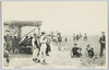 武州浮間の原　桜草絵葉書（１）/Picture Postcard of Primroses on the Ukimagahara Field, Bushu (1) image