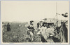 武州浮間の原　桜草絵葉書（２）/Picture Postcard of Primroses on the Ukimagahara Field, Bushu (2) image