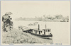 武州浮間の原　桜草絵葉書（６）/Picture Postcard of Primroses on the Ukimagahara Field, Bushu (6) image