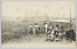 ［武州浮間ケ原桜草、明治年間］ / [Primroses on the Ukimagahara Field, Bushu, During the Meiji Period (1868-1912)] image