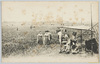 ［武州浮間ケ原桜草、明治年間］/[Primroses on the Ukimagahara Field, Bushu, During the Meiji Period (1868-1912)] image