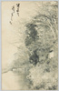 Calm　and　shady　Takinogawa/Calm and Shady Takinogawa image