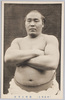 (東京力士)横綱太刀山/(Tokyo Sumo Wrestlers) Yokozuna Tachiyama image