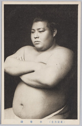 (東京力士)小常陸 / (Tokyo Sumo Wrestlers) Kohitachi image