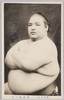 (東京力士)横綱梅ヶ谷/(Tokyo Sumo Wrestlers) Yokozuna Umegatani image