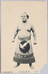 (東京力士)国見山悦吉 / (Tokyo Sumo Wrestlers) Kunimiyama Etsukichi image