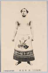 (東京力士)鳳谷五郎 / (Tokyo Sumo Wrestlers) Ōtori Tanigorō image
