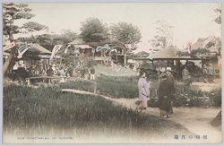 堀切の菖蒲 / Irises in Horikiri image