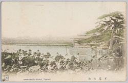 不忍の池 / Shinobazu Pond image
