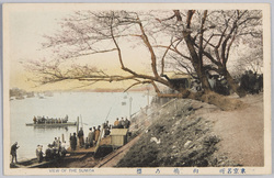 東京名所向島の桜 / Famous Views of Tokyo: Cherry Blossoms of Mukojima image