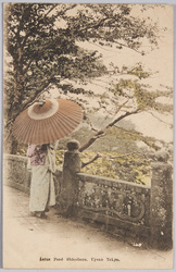 Lotus Pond Shinobazu Uyeno Tokyo / Lotus Pond Shinobazu,Uyeno Tokyo image