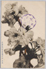 江北荒川堤五色の桜絵葉書/Picture Postcards of the Kohoku Arakawa Embankment Five Color Cherry Blossoms image