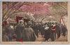 江北荒川堤五色の桜/Kohoku Arakawa Embankment Five Color Cherry Blossoms image
