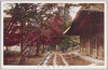 平林寺佛殿紅葉/Heirinji Temple: Worship Hall with Autumn Leaves image