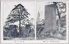 弘法大師真筆いろは塚　影向の松/Stone Monument with Genuine Kobo Daishi Calligraphy of Iroha Poem, Yogo no Matsu (Pine Tree Regarded as Deity's Manifestation) image