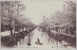 江戸川の桜 / Cherry Blossoms along the Edogawa River image