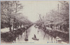 江戸川の桜/Cherry Blossoms along the Edogawa River image