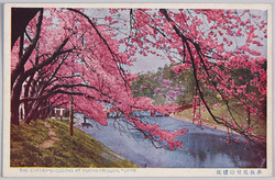 赤坂見付の桜花 / Cherry Blossoms in Akasaka Mitsuke image