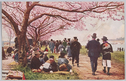 桜の多摩川 / Tama River with Cherry Blossoms image