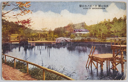 恩賜公園井ノ頭ノ水浴場 / Bathing Area in Inokashira Park image