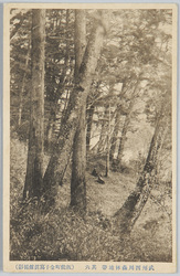 武州西川森林地帯其六 / Nishikawa Forest Land, Bushu (6) image