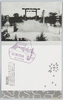 帝都の大観東京・靖国神社/General View of the Imperial Capital, Tokyo: Yasukuni Shrine image