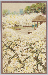 梅園 / Plum Orchard image