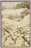 梅園/Plum Orchard image