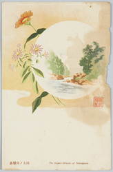 多摩川の上流 / Upper Stream of the Tama River image