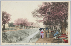 (桜の名所)武州小金井 / (Famous Cherry-Blossom Viewing Spot) Koganei, Bushu image