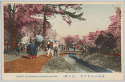 武州小金井の桜(喜平橋) / Cherry Blossoms in Koganei, Bushu (Kiheibashi Bridge) image