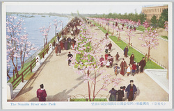 (大東京)我国最初の河岸公園たる隅田公園の展望 / (Great Tokyo) View of Sumida Park, Japan's First Riverside Park image