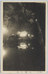 (浅草)公園の夜 / (Asakusa) Night in the Park image