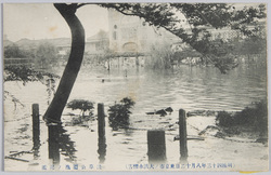  (明治四十三年八月十二日東京市ノ大洪水惨害)浅草公園池ノ氾濫 / (Heavy Damage of the Great Flood in Tokyoshi on August 12th, 1910) Flooding of the Pond in Asakusa Park image