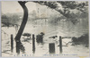  (明治四十三年八月十二日東京市ノ大洪水惨害)浅草公園池ノ氾濫/(Heavy Damage of the Great Flood in Tokyoshi on August 12th, 1910) Flooding of the Pond in Asakusa Park image