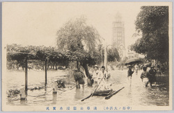  (帝都ノ大洪水)浅草公園浸水実况 / (Great Flood in the Imperial Capital) Actual Scene of the Inundation in Asakusa Park image